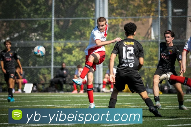 易倍体育APP 高清赛事图